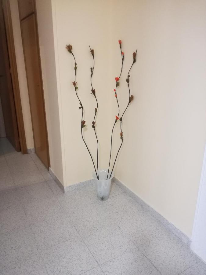 Apartament Giusy'S Place 1 Campofelice Di Roccella Zewnętrze zdjęcie